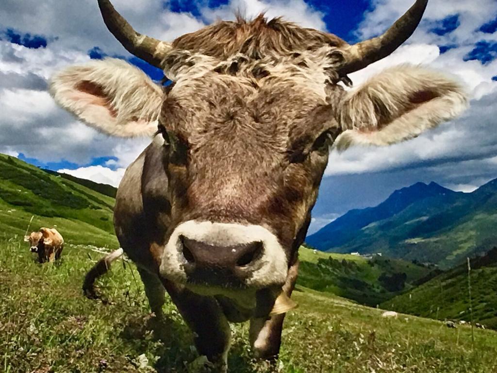 Arlberg Lodges Stuben am Arlberg Esterno foto